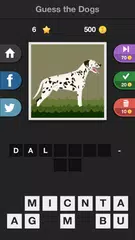 Icontrivia : Dogs APK download