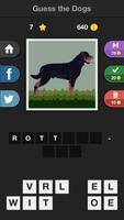 Icontrivia : Dogs تصوير الشاشة 1