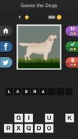 Icontrivia : Dogs تصوير الشاشة 3