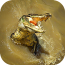 Crocodile Attack Simulator APK