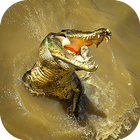 Crocodile Attack Simulator-icoon