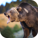 Real Bear Simulator 2017 APK