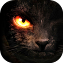 Tactile Tales: Immersive Books APK