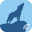 Jack London Collection APK