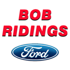 Net Check In - Bob Ridings icône