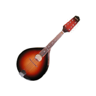 Mandolin Çal icône