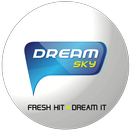 DreamSky Radio APK