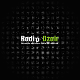 Radio Dzair icône