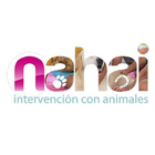 Nahai icon