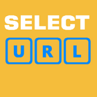 Select URL icône