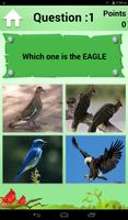 Bird Quiz and Card اسکرین شاٹ 3