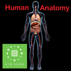 Human Anatomy أيقونة