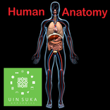 Human Anatomy
