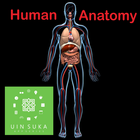 Human Anatomy biểu tượng