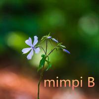 mimpi B ポスター