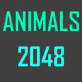 ”Animals 2048