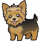 Petiladora icon