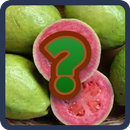 GUESS THE FRUIT APK