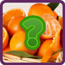 APK TEBAK GAMBAR BUAH BAHASA INGGRIS