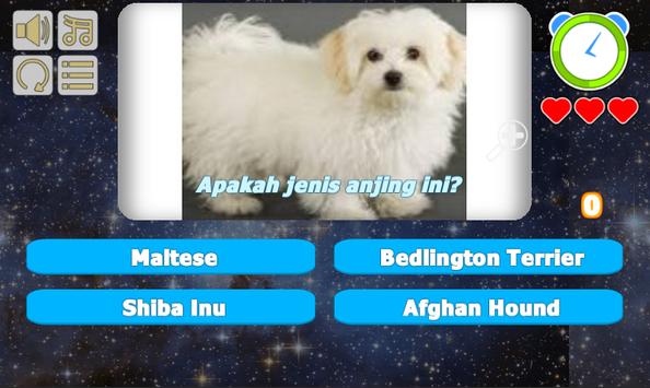 Tebak Gambar Anjing 2018 For Android Apk Download