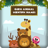 ikon Guess Animal Scientific Names