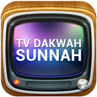 TV Dakwah Sunnah icône