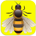 Hopping bee