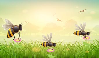 Hopping bee Poster