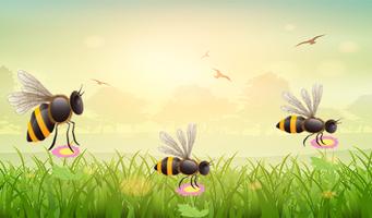 Hopping bee poster