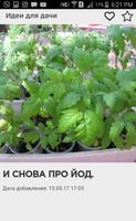Идеи для дачи Ekran Görüntüsü 3