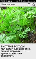 Идеи для дачи Ekran Görüntüsü 2