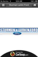 Sturman & Larkin Ford Affiche