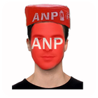 ANP Flag On Face icône