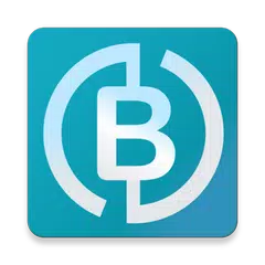 BIG-Token APK Herunterladen