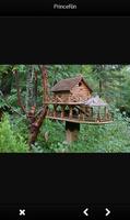 Ideas Instant House Bird screenshot 2