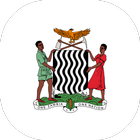Zambian Constitution-icoon