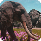 Animallica أيقونة