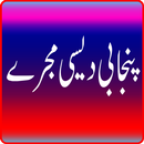 Punjabi Desi Mujray Collection APK