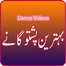 Best of Pashto Wedding Songs APK
