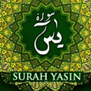 Surah Yasiin (سورة يس)dan terj APK