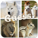 Guess The Animals Quiz APK