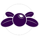 Cafe Borowka APK