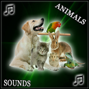 animals sounds ringtones pro APK