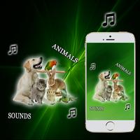 animals sounds ringtones pro capture d'écran 1