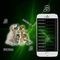 hewan suara ringtones Pro screenshot 2
