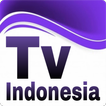 TV Indonesia - Online Live HD