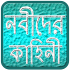 নবীদের কাহিনী icône