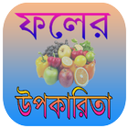 ফলের উপকারিতা icon