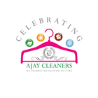 Ajay Cleaners icône