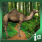 Loose Camel Simulator иконка
